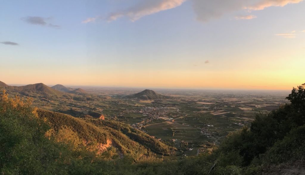 Vigilanza Ambientale