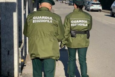 Segnalazioni
